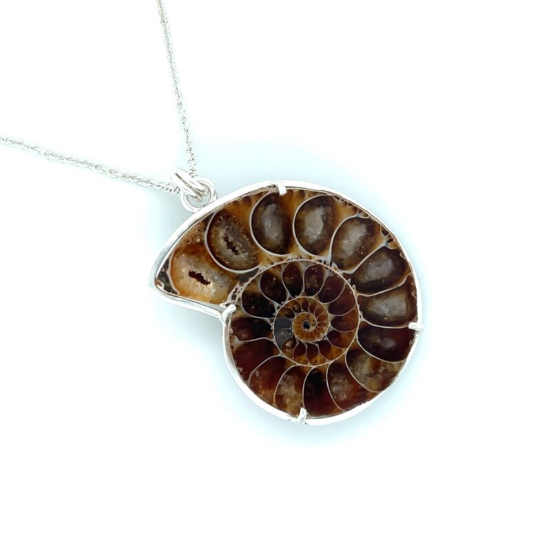 Argentium Sterling Silver Ammonite Fossil Necklace